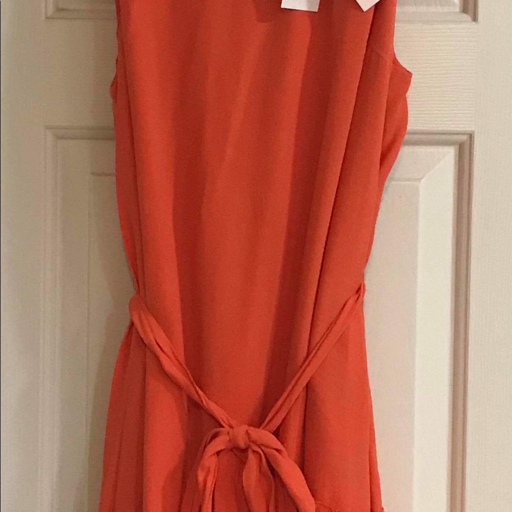 Banana Republic ruffle dress 10 Petite